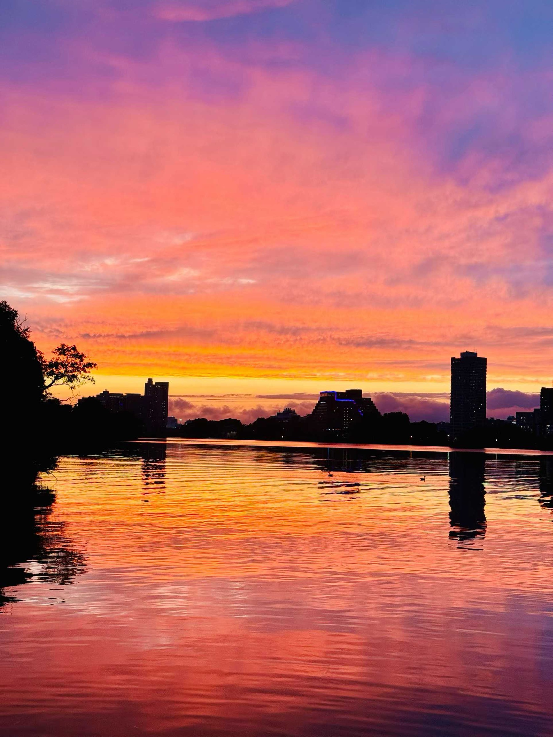 Sunset over the water with a city skyline