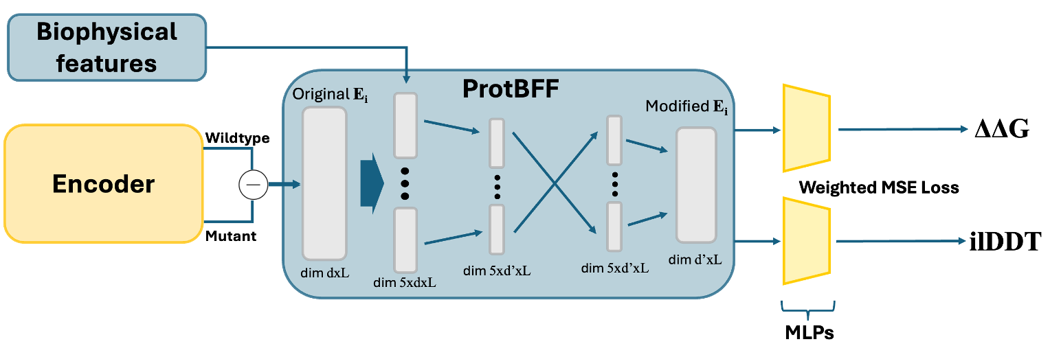 [ProtBFF]